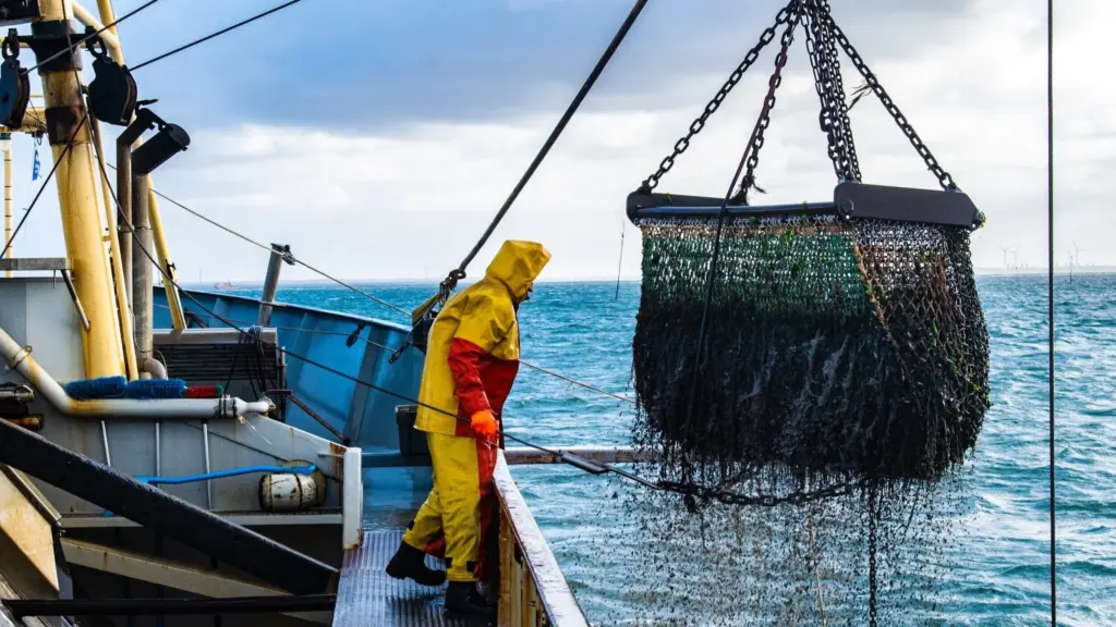 Inspection générale de l’État à propos du secteur de la pêche : prélèvements injustifiés et recettes non perçues
