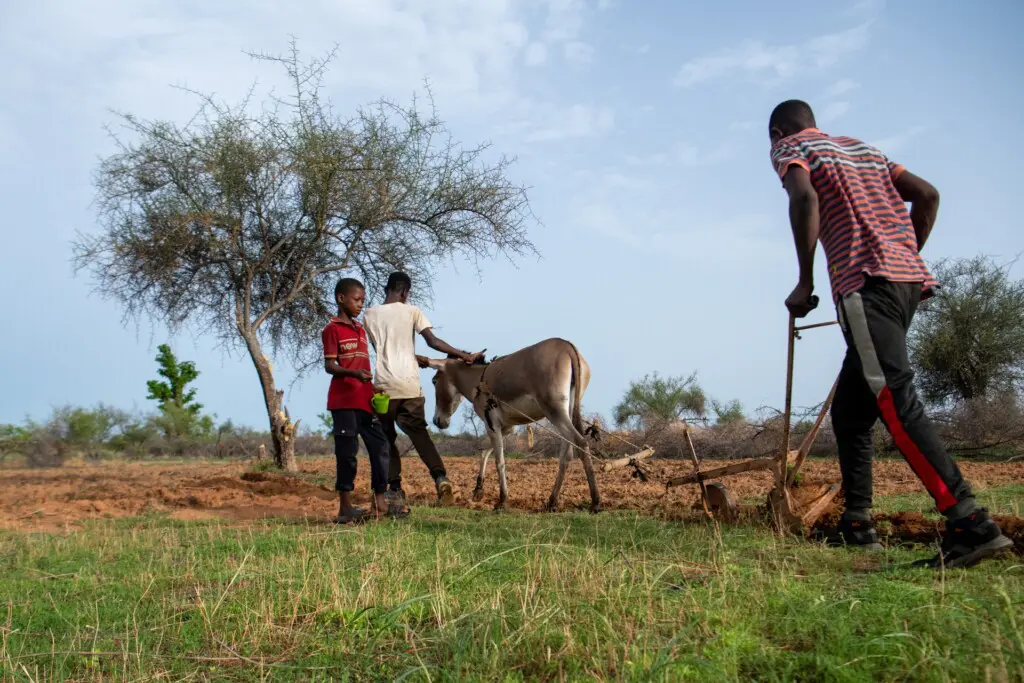 Le projet résilience et développement communautaire sur les rives du fleuve Sénégal va s’élargir à 17 nouvelles communes